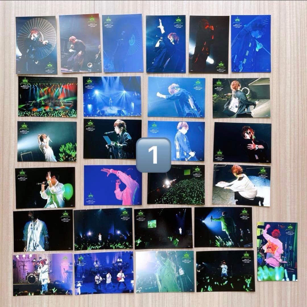 浦島坂田船　うらたぬき　やまだぬき　まとめ売り