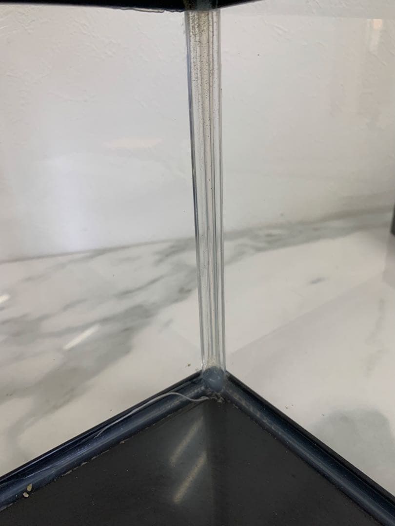 ＋ 爬虫類飼育5点セット ジェックス GEX ヒーター スポットライト