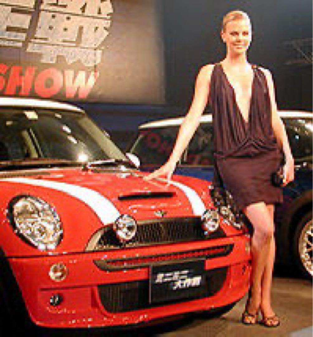 ミニミニ大作戦 フジミ 1/24 ローバー・ミニクーパー ステラ・ブリジャー仕様