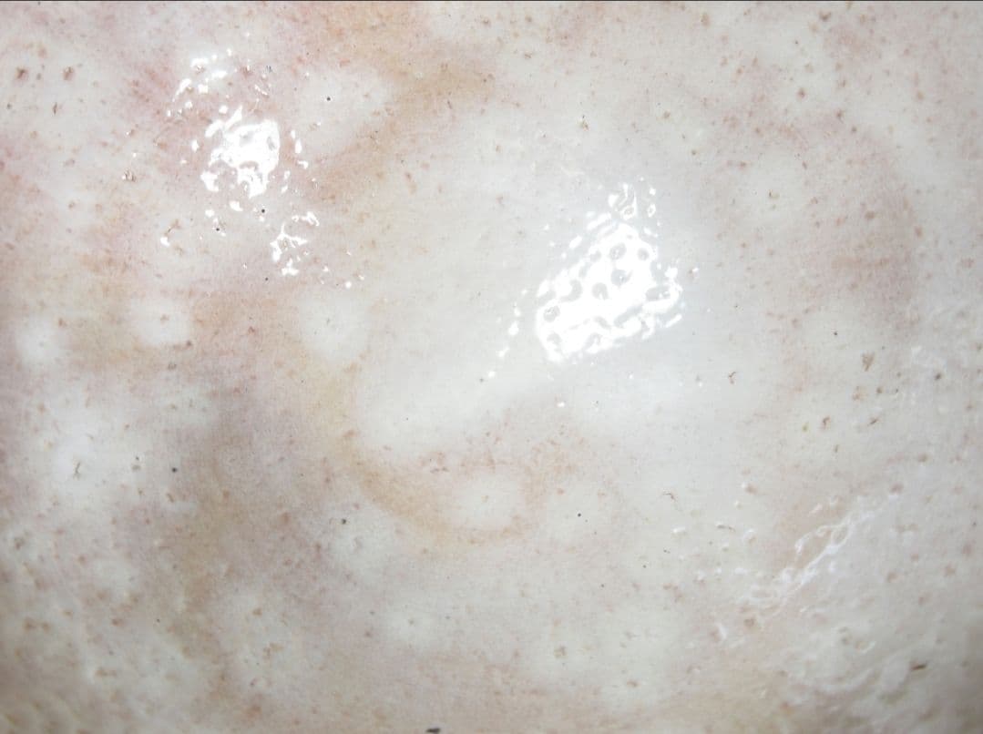 真作保証 15代 坂倉新兵衛 (正治) 自作 萩焼 コレクター放出品 山口県