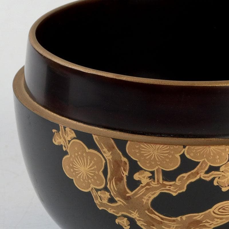 茶道具　塗匠　哲山作　花丸菊花蒔絵　平大棗　共箱　V　9354