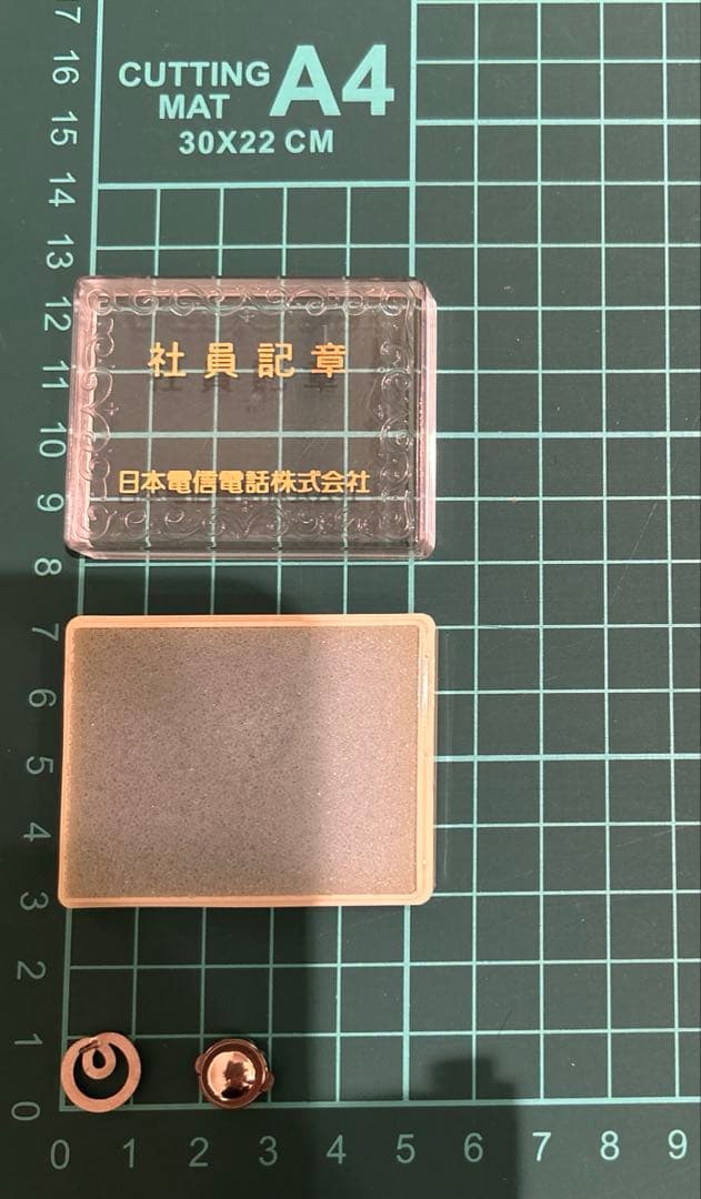 【希少】日本電信電話株式会社 NTT 社員記章 バッジ ケース付