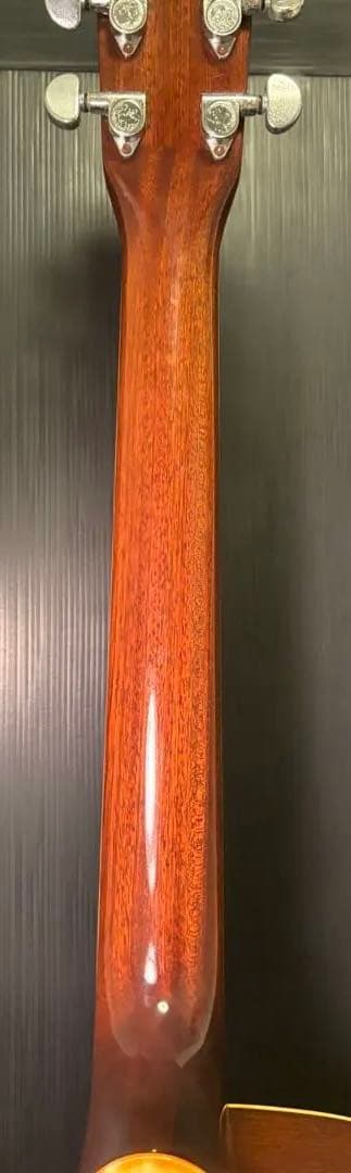 Headway エレアコ　ハードケース付き