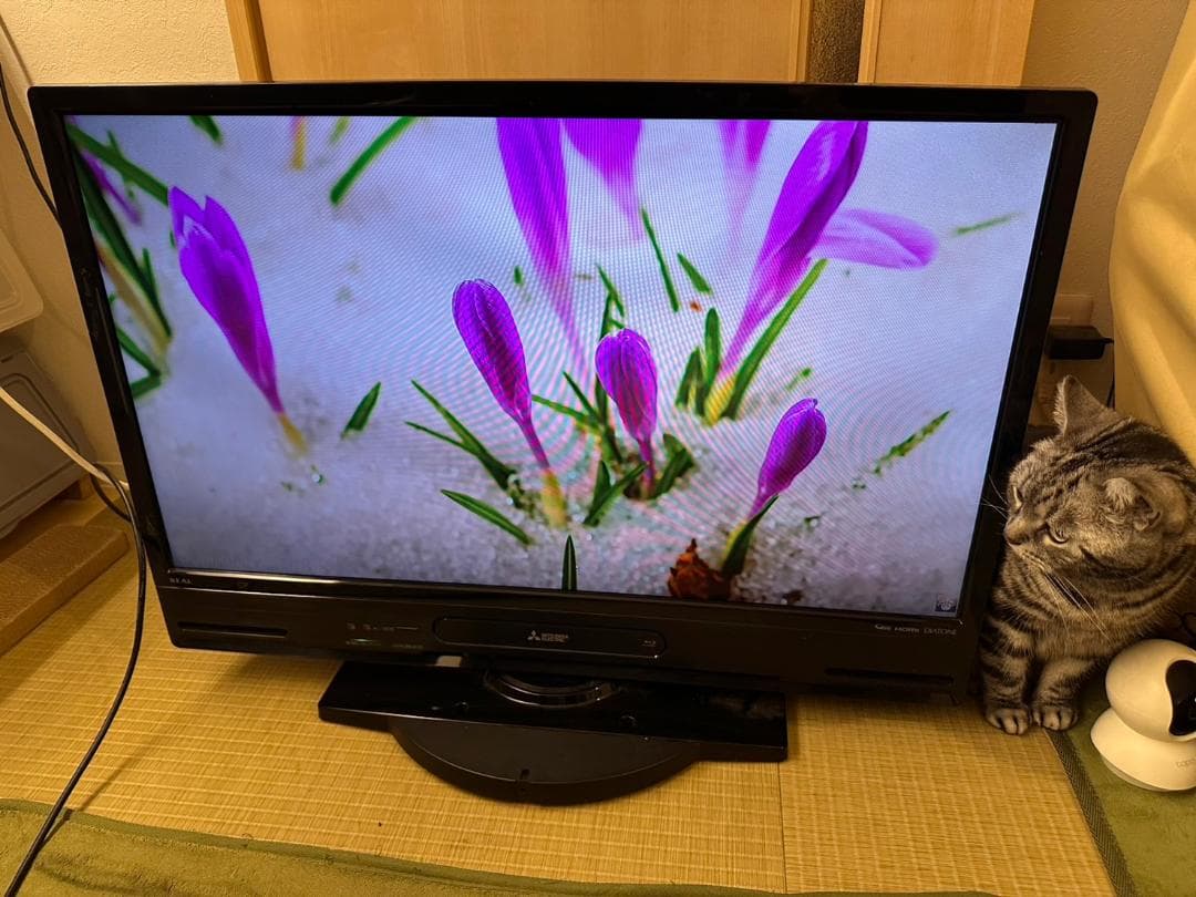 くろっわさんさん専用三菱 18年32型 テレビ LCD-A32BHR10