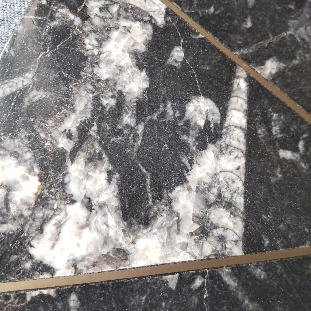 レア！アンモナイト化石 他生物の大理石八角形オブジェプレート！