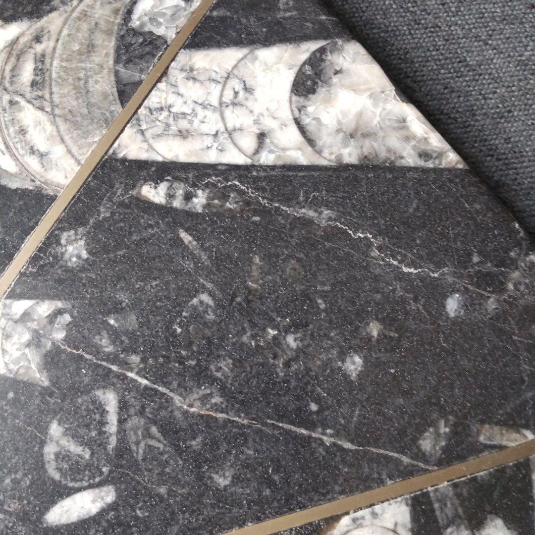 レア！アンモナイト化石 他生物の大理石八角形オブジェプレート！