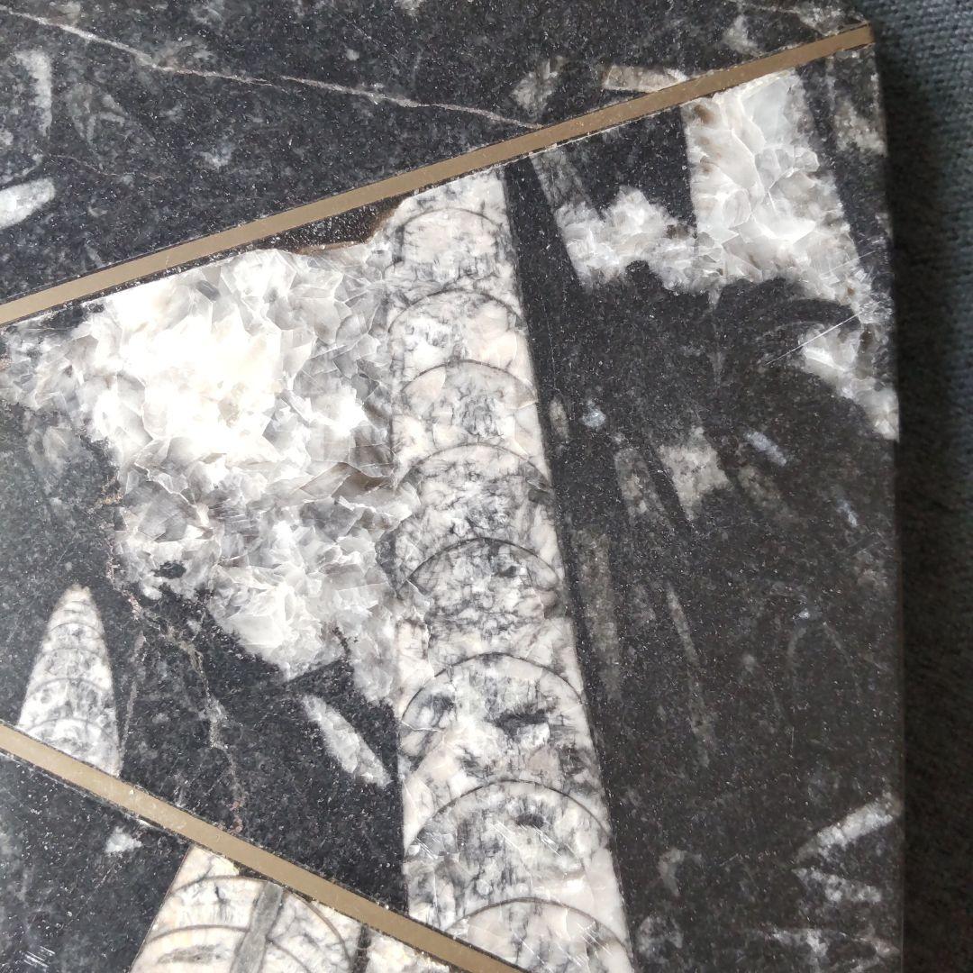 レア！アンモナイト化石 他生物の大理石八角形オブジェプレート！