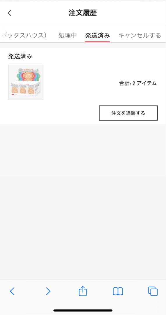 【正規品】ラブブ ビッグイントゥエナジー 開封済