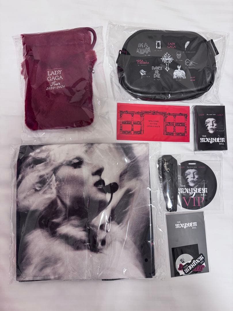 LADY GAGA VIP GOLD グッズ フルセット ゴールド