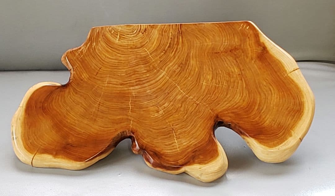 貝塚伊吹大サイズ年輪時計　ラックセット