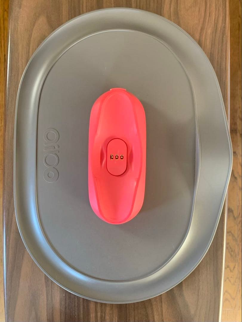 aibo アイボ　ERS-1000 本体　ソニー　アイボのおもちゃ