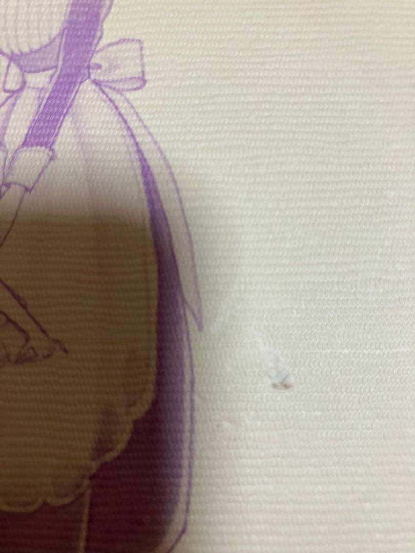 カメリア館 わたなべまさこ　第1刷発行