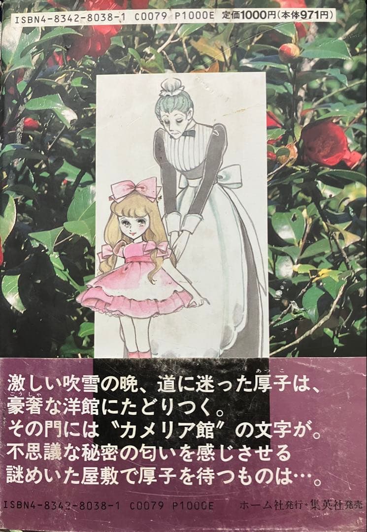 カメリア館 わたなべまさこ　第1刷発行