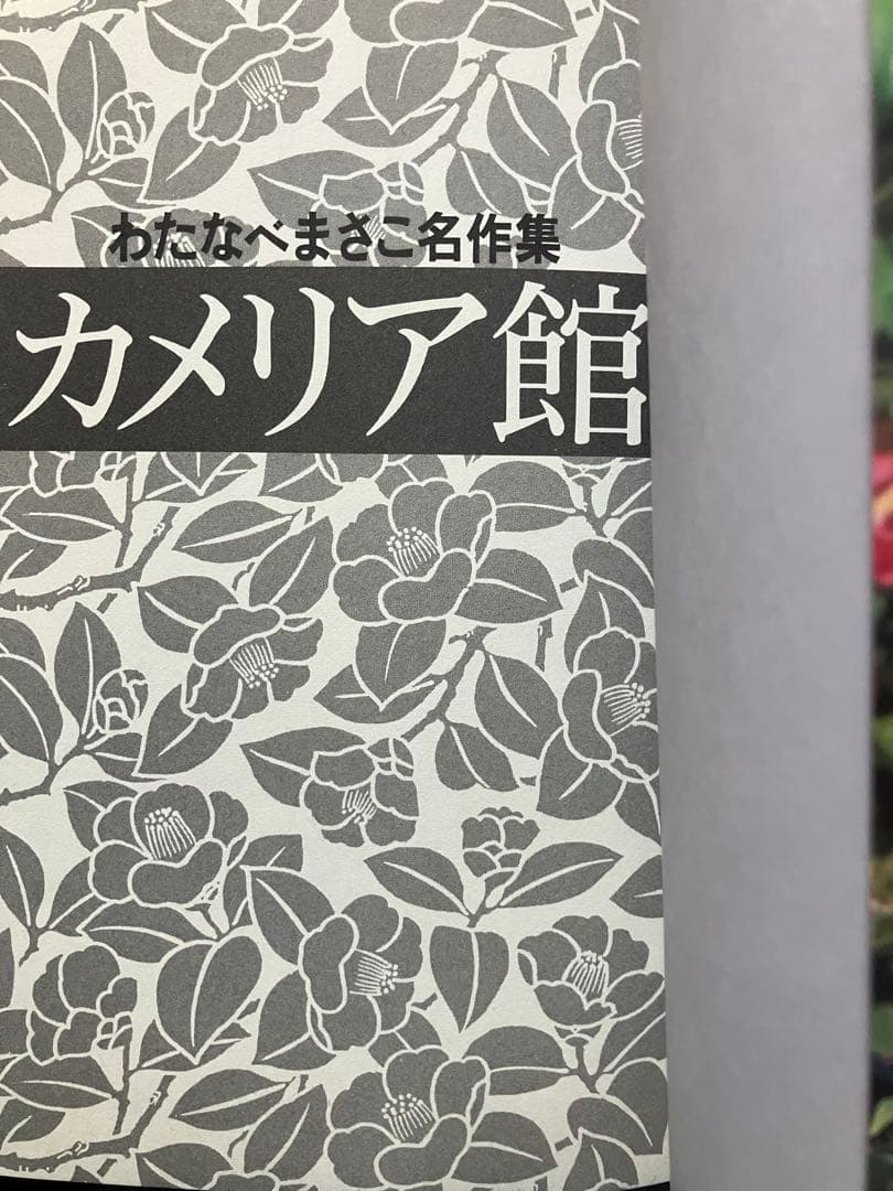 カメリア館 わたなべまさこ　第1刷発行