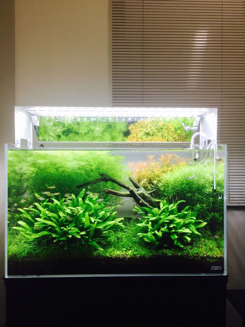 ADA アクアスカイ ムーン601 照明本体 ミラーユニット付