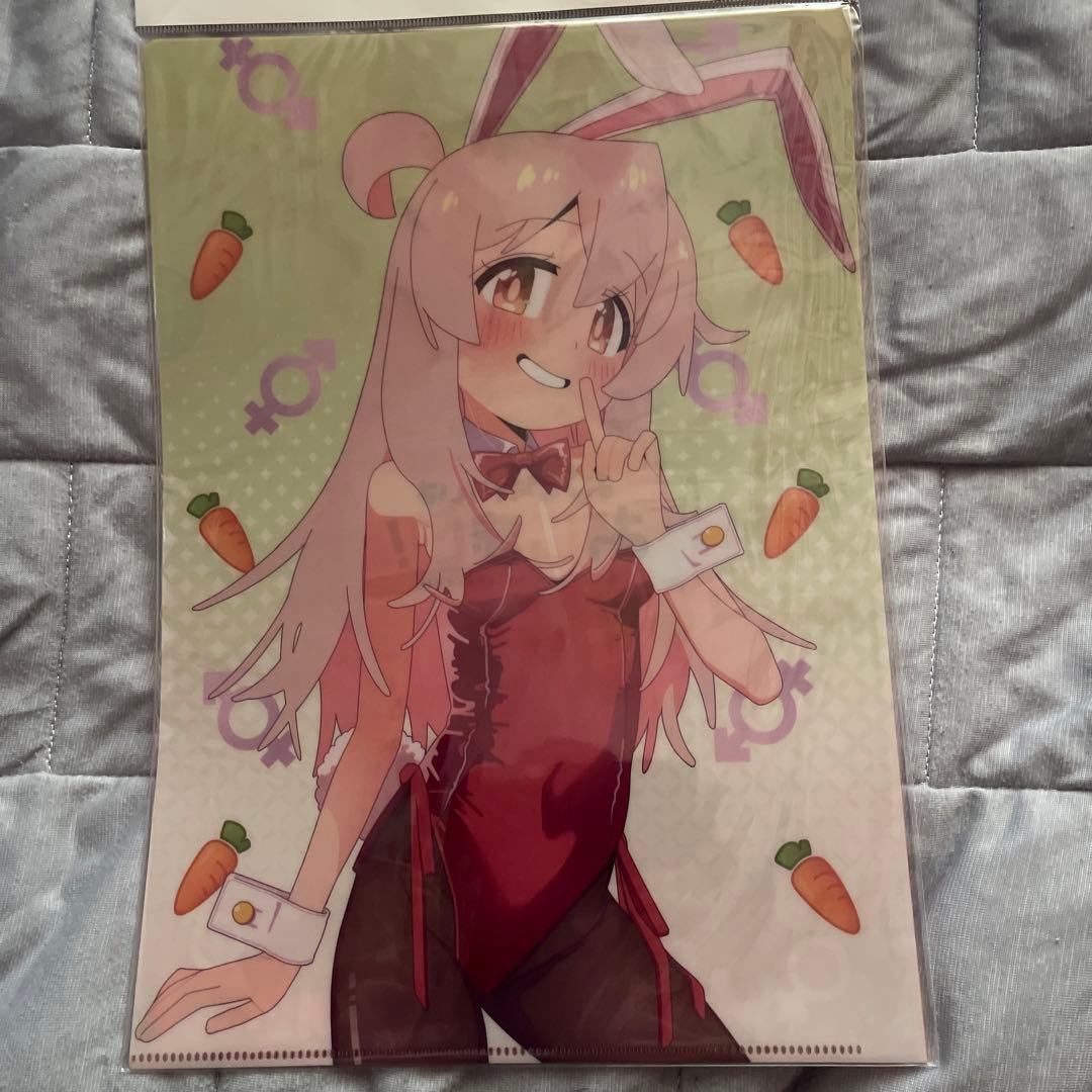 お兄ちゃんはおしまい　イベント限定　クリアファイル