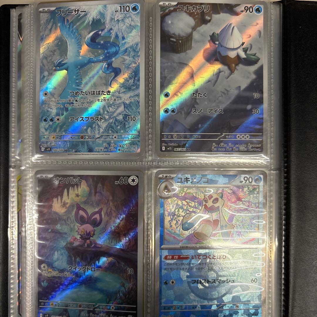 ポケモンカードセット 閲覧用