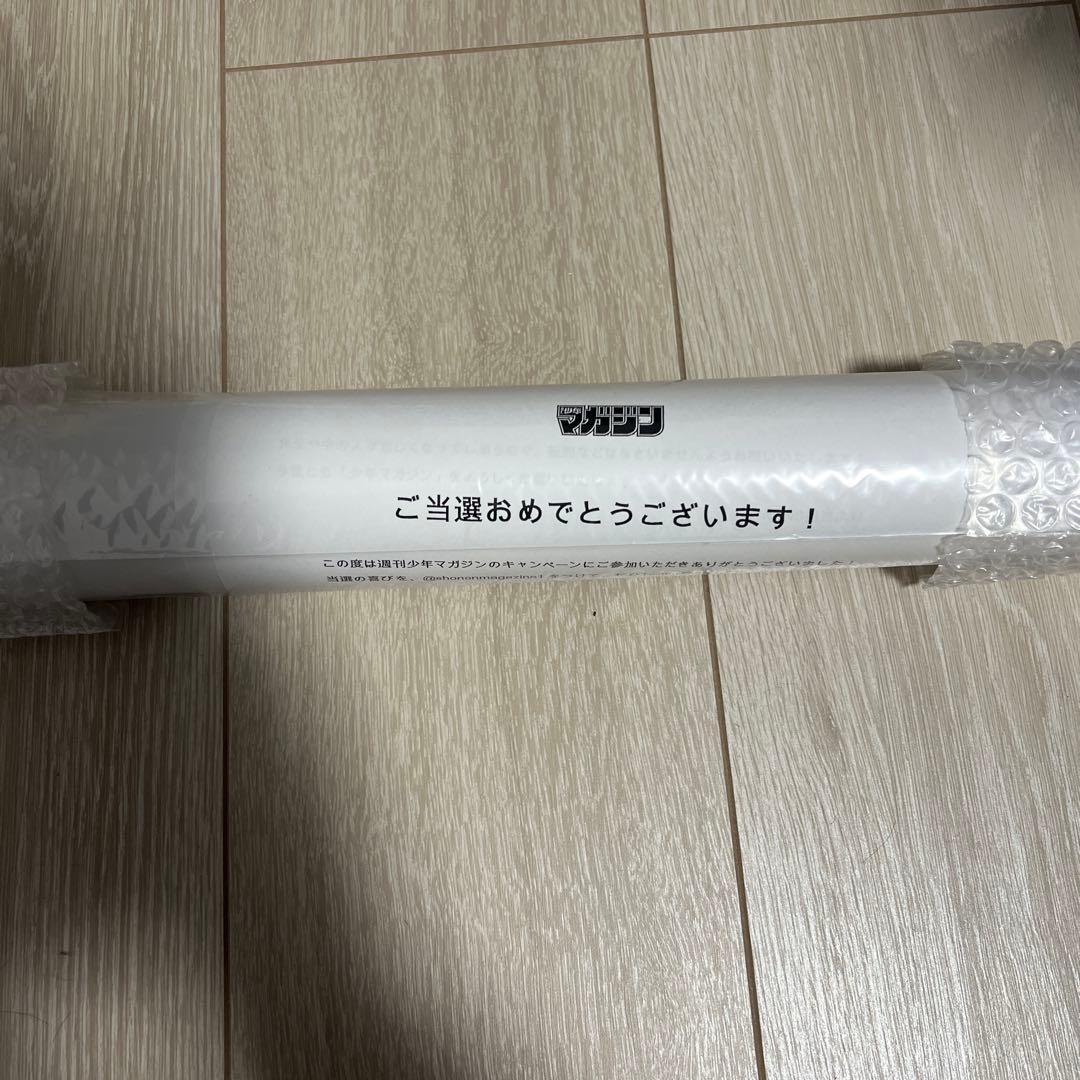 黒岩メダカに私の可愛いが通じない　ポスター　非売品虚構推理作者サイン入り複製原画