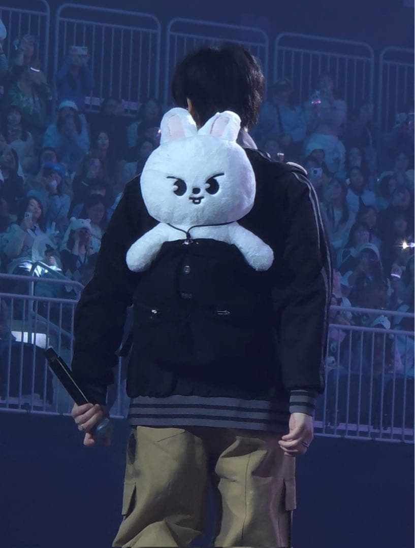 StrayKids スキズ SKZOO テディベア リービット リノ