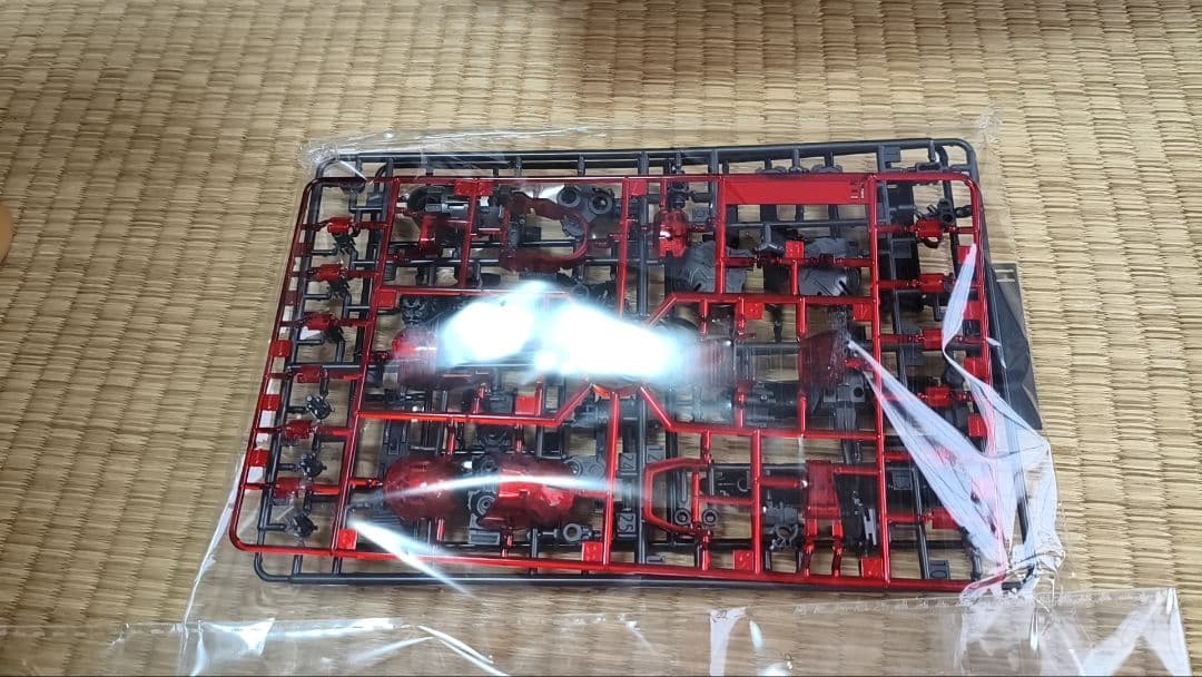 RG サザビー　メカニカルコアメッキ