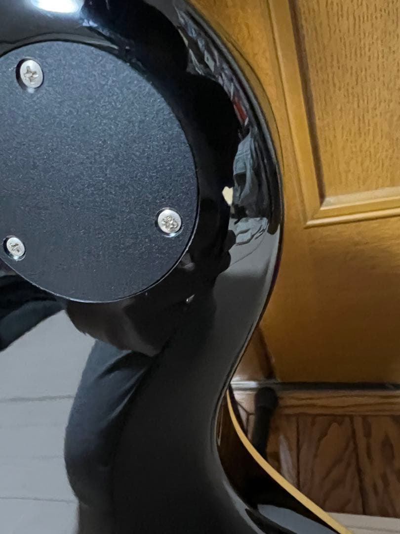 FERNANDES　RAVELLE-STEELER