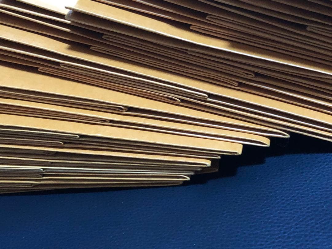 ルイヴィトン　小サイズショッパー65枚