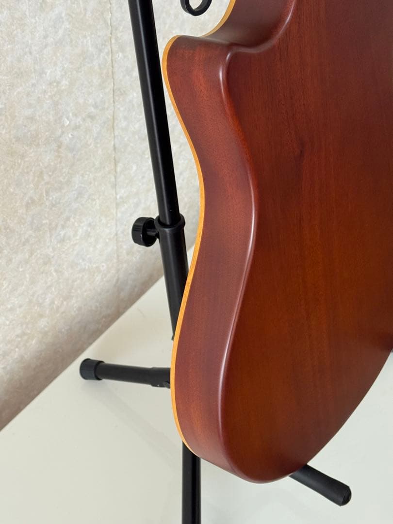 ESP BambooInn-K ナイロン弦タイプcharプロデュース