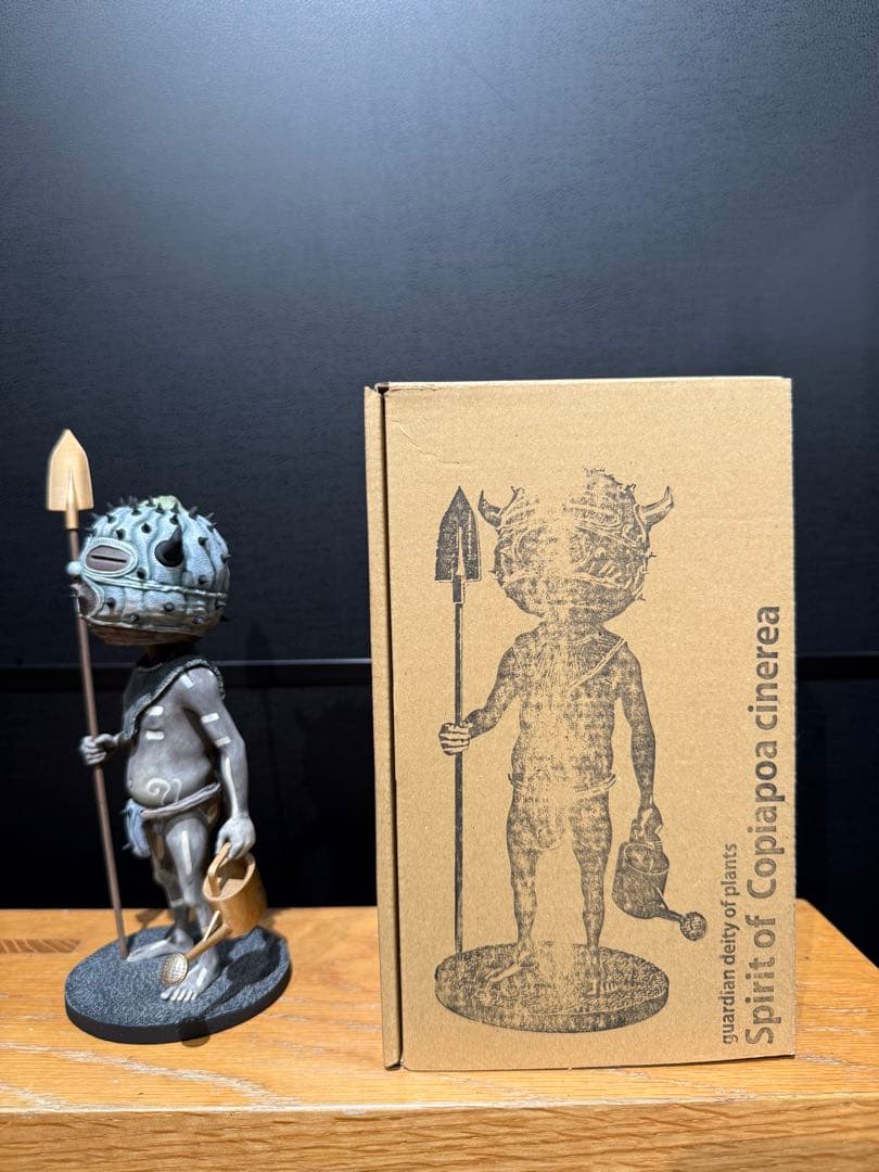 その他 Ozwrt Spirit of Copiapoa cinerea