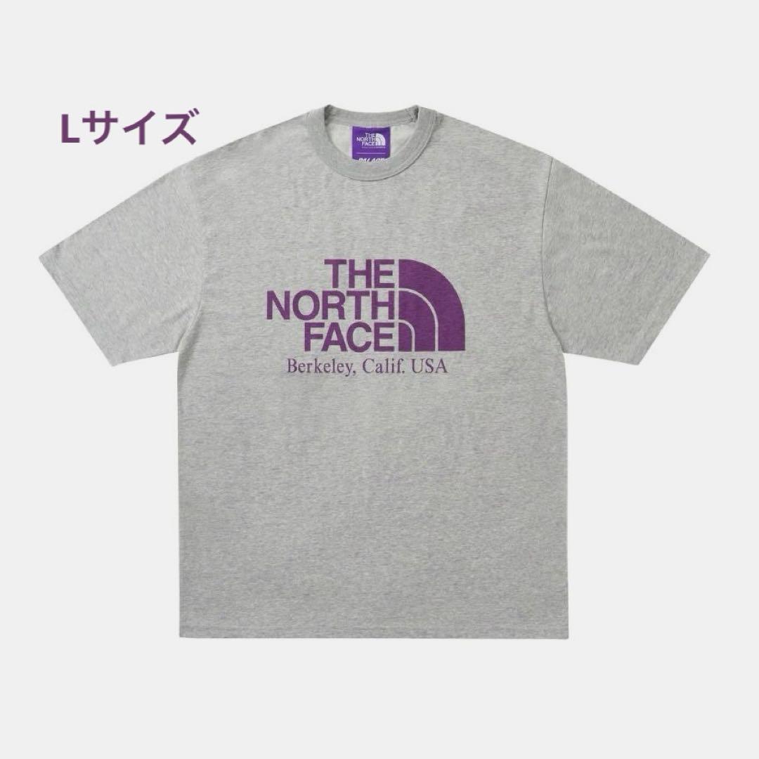 【新品・未開封】THE NORTH FACE & PALACE Tシャツ / L