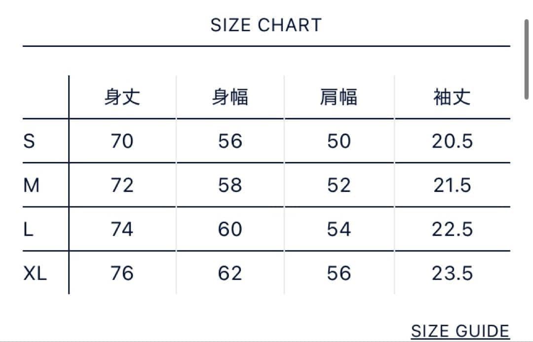 【新品・未開封】THE NORTH FACE & PALACE Tシャツ / L