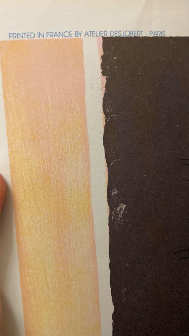 ★送料込★ 【リトグラフ／花 絵画】 ✰︎ 大型 ✰︎ フランス製 ポール・ギラマン