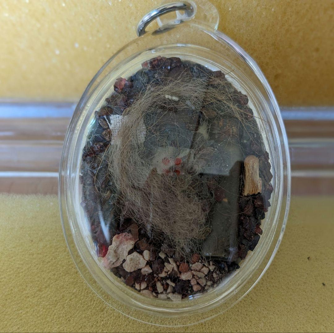 激レア！タイのお守りプラクルアン！九尾の狐！専門店にて購入！アンティークにも！