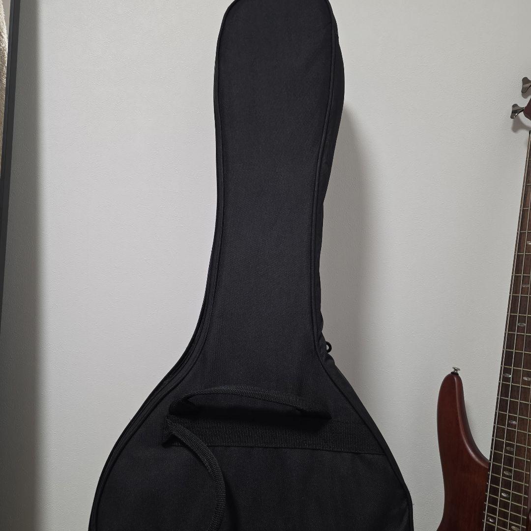 【年末価格　12/30まで！】Ibanez SR500