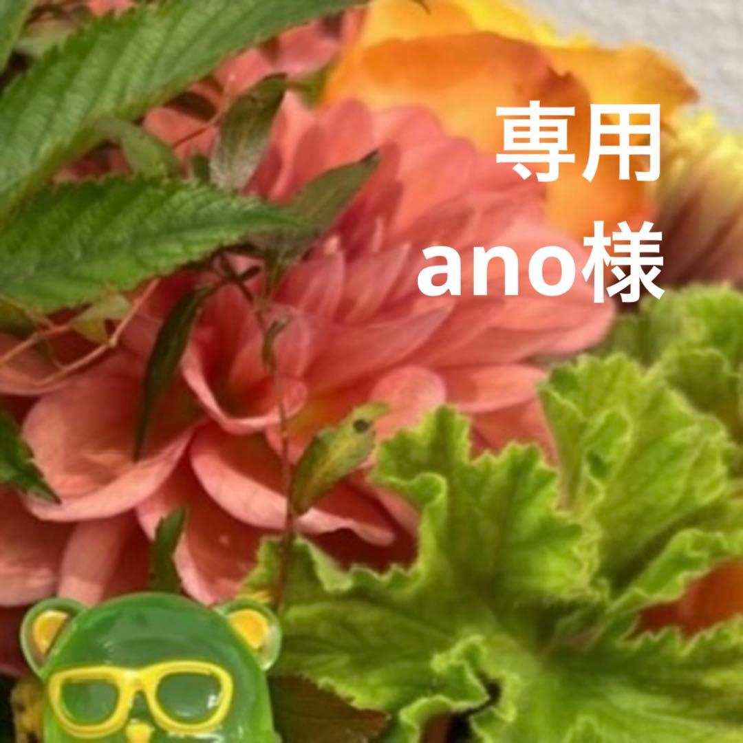 ②専用ページ ano様
