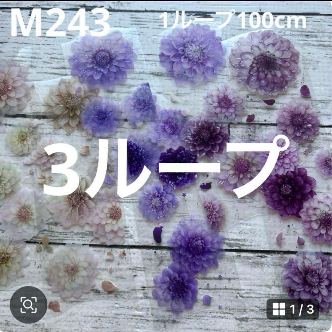 ②専用ページ ano様