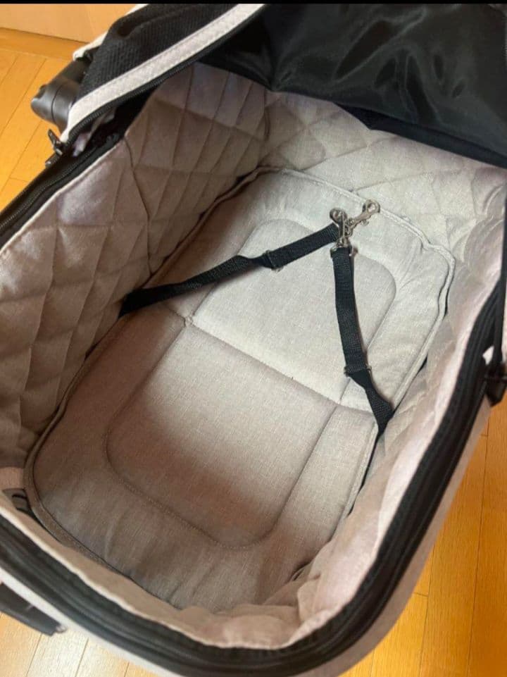 AIRBUGGY FITT Wiz（エアバギーフィット ウィズ）　アースサンド