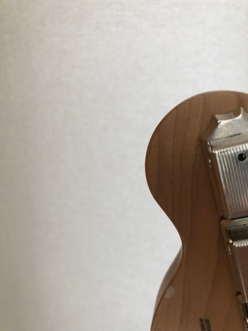 Fender PLAYER Ⅱ SERIES テレキャスター