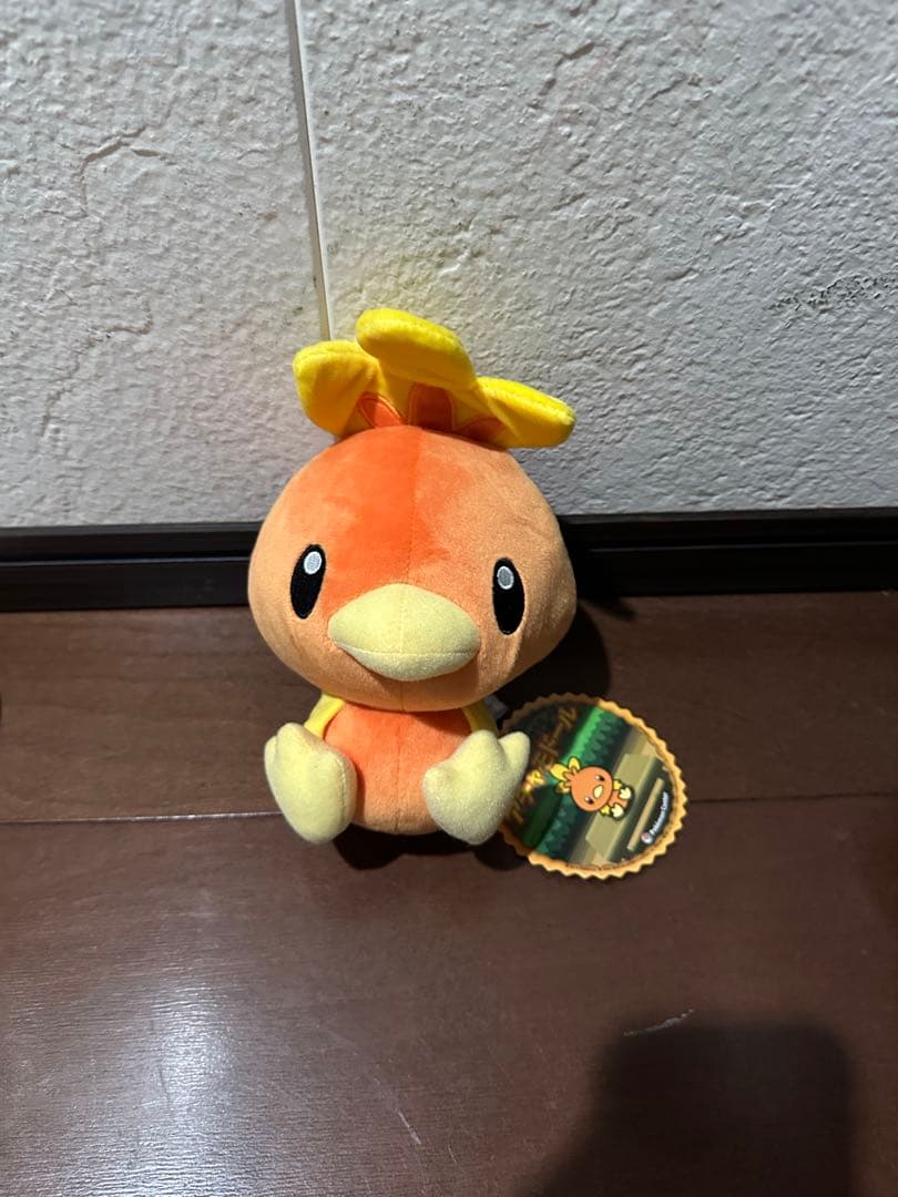 スーパーひみつきちのぬいぐるみ ホウエン