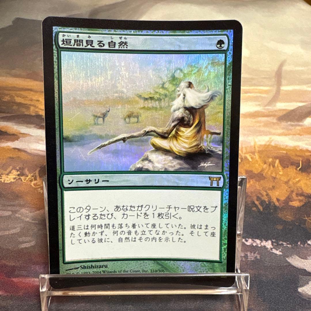 垣間見る自然 日本語 Foil