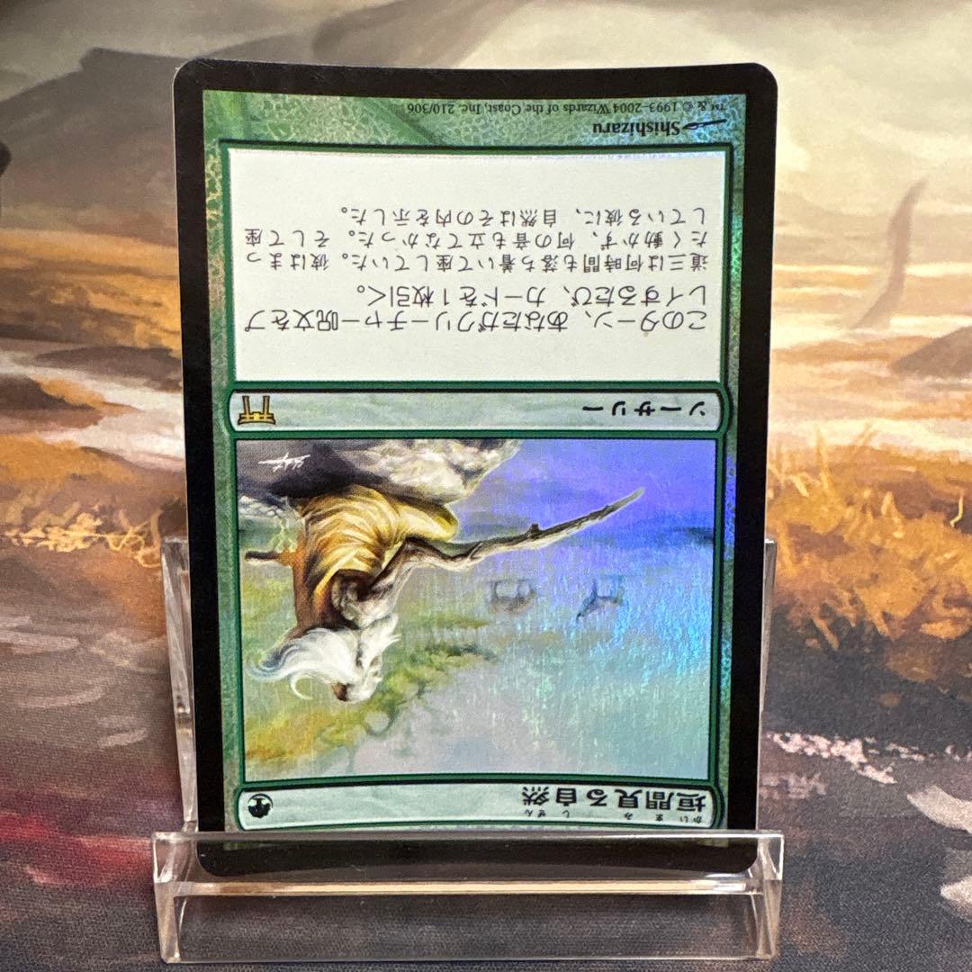 垣間見る自然 日本語 Foil