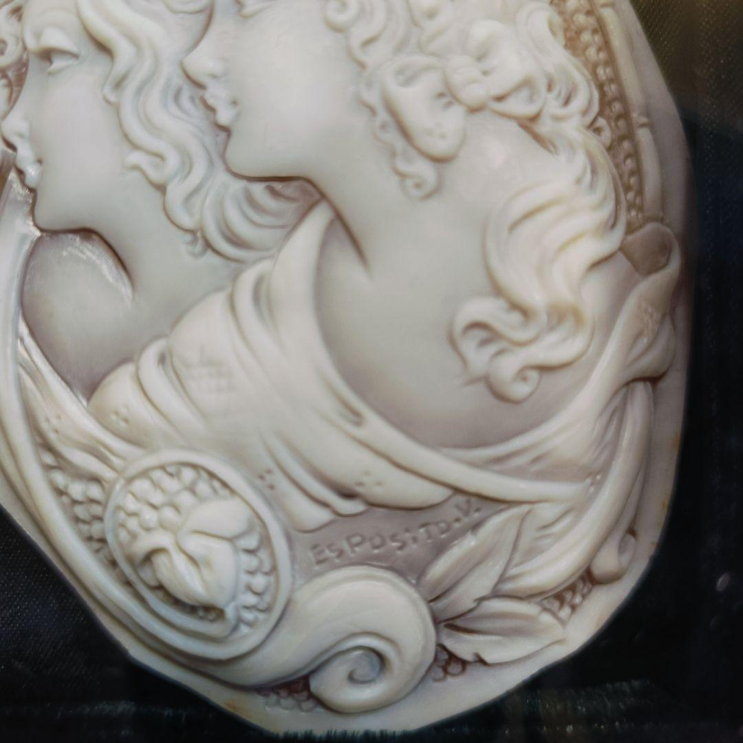 エスポ シート 8 mm　大型 カメオ シェルカメオ