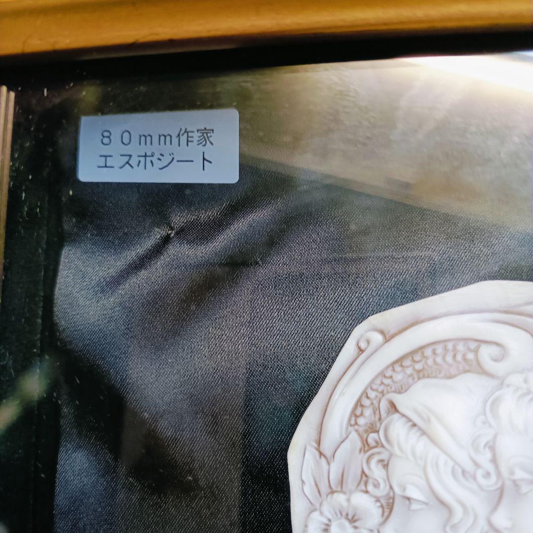 エスポ シート 8 mm　大型 カメオ シェルカメオ