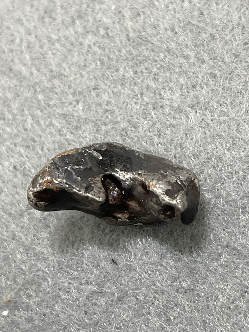 東京サイエンス　キャニオンディアブロ大隕石2個