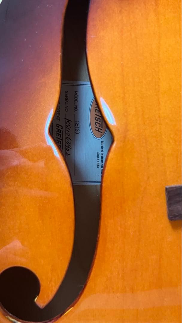 た*ん様 Gretsch electromatic ソフトケース 弦付き