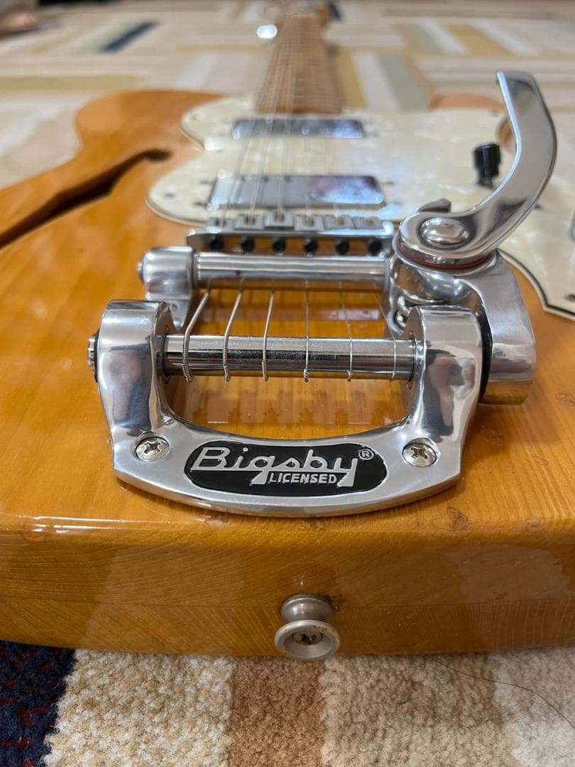 かにさんデラックス　1976年Aria Pro II TE-500N