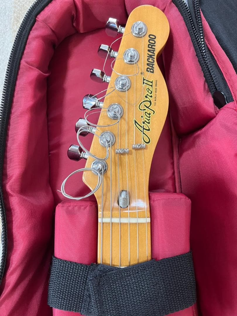 かにさんデラックス　1976年Aria Pro II TE-500N