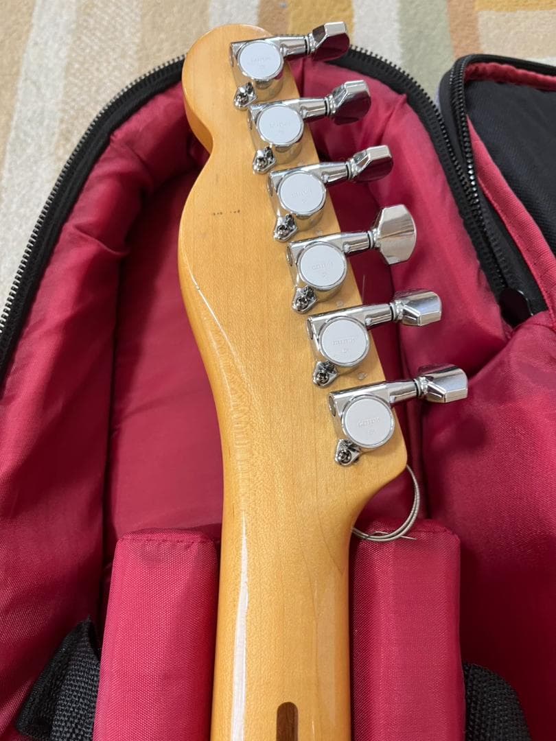 かにさんデラックス　1976年Aria Pro II TE-500N