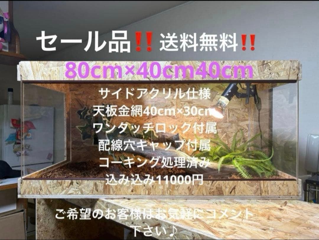 爬虫類ケージ 80×40×40 サイドアクリル　飼育ケージ ケージ 爬虫類