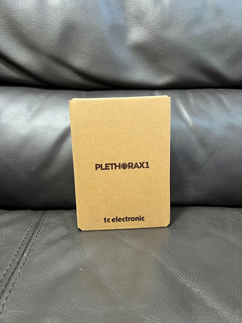 ギター tc electronic PLETHORA X1