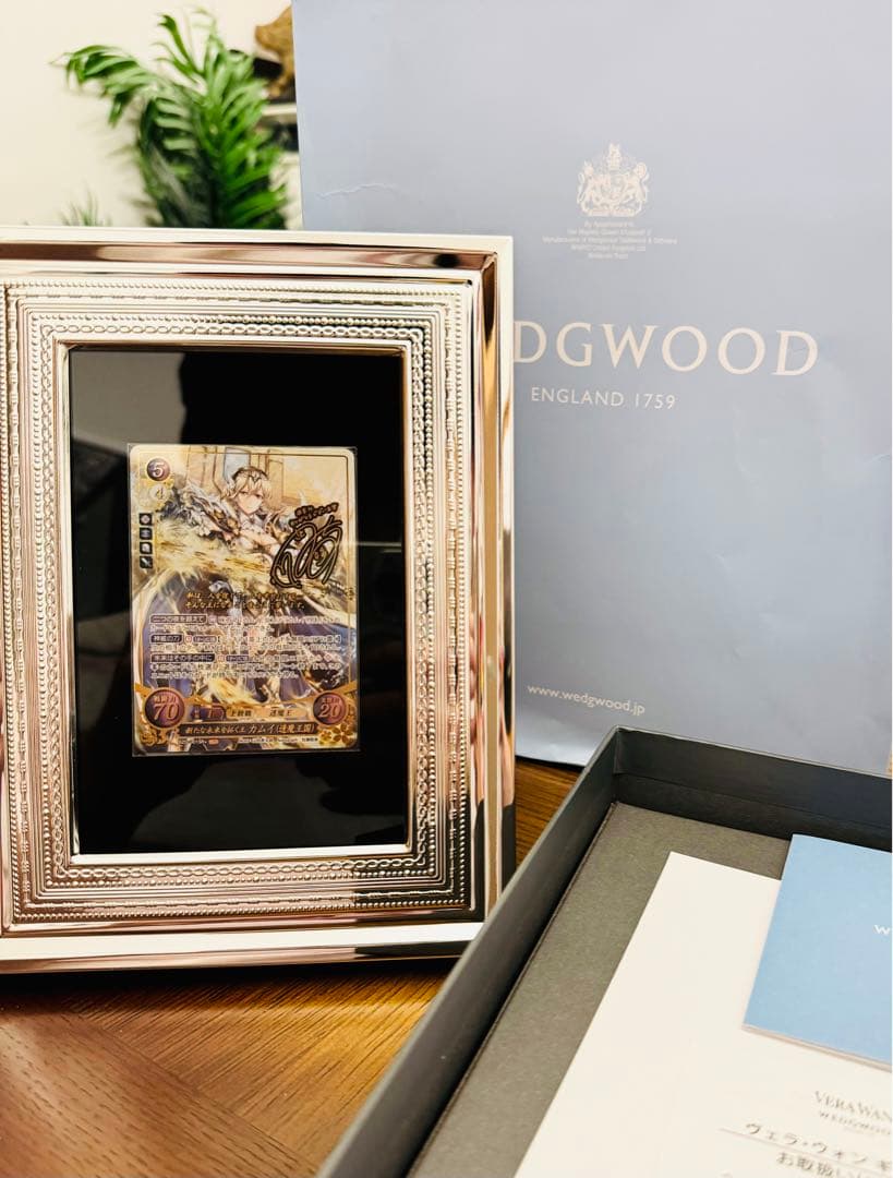 SR+ 新たな未来を拓く王 カムイ FE サイファ 【 額付】